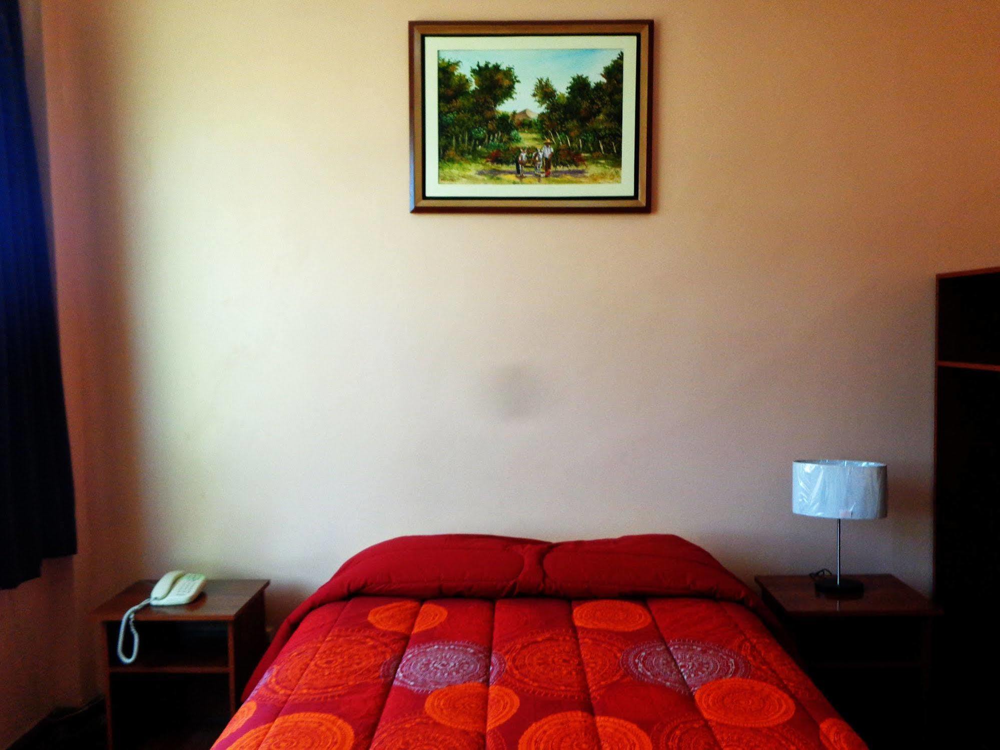 Hotel Colon Plaza Ica Eksteriør bilde